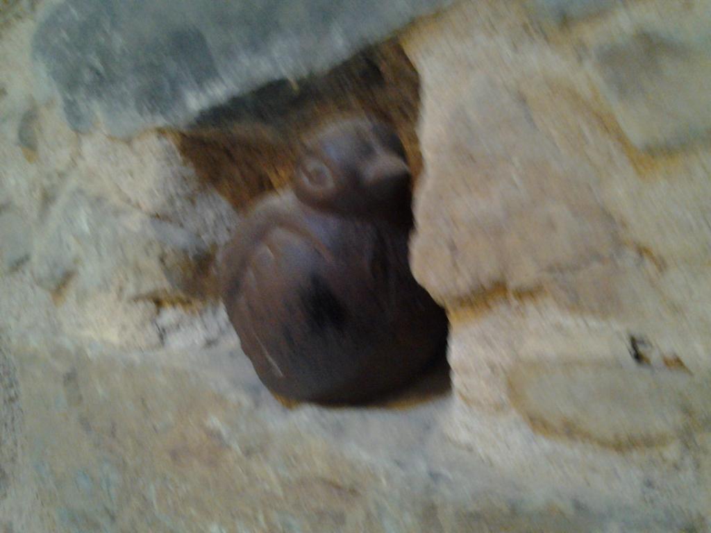 Le Clos Du Merle Savigny  Zimmer foto